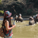 Why You Shouldn't Ride Elephants In Thailand blog1 2.png