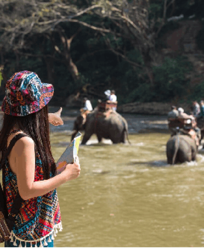 Why You Shouldn’t Ride Elephants In Thailand